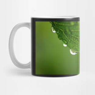 Rain drops on the leaf Mug